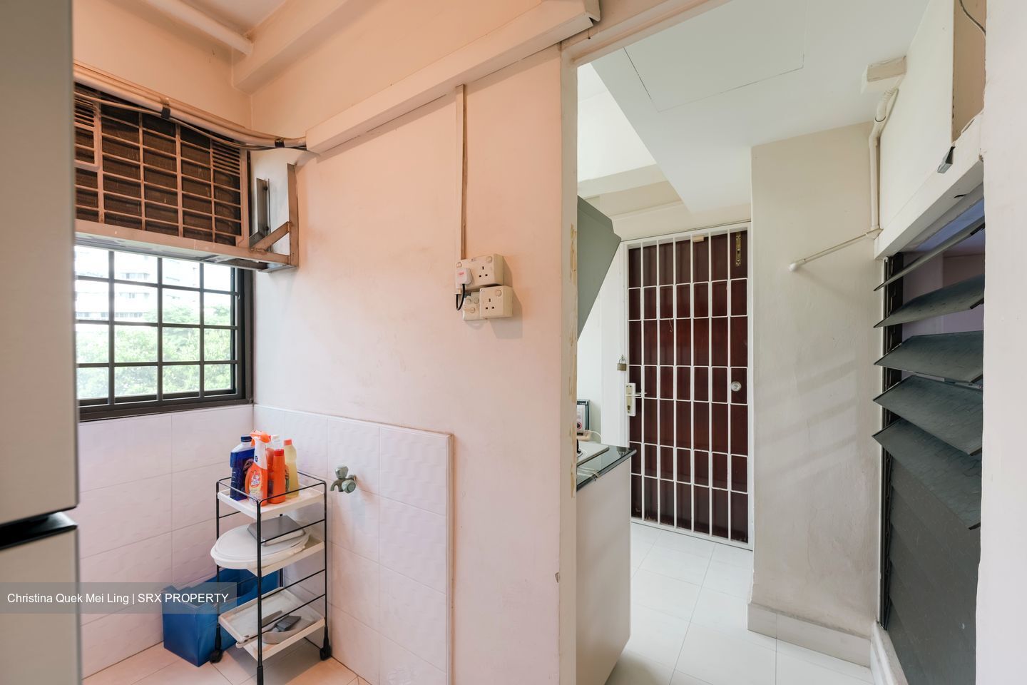 Pandan Valley (D21), Condominium #592295301